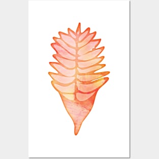 heliconia Posters and Art